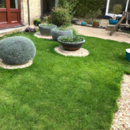 Techniques de taille pour maintenir un jardin esthétique et en bonne santé Saint-Chamond